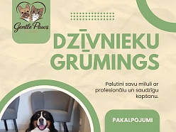 mājdzīvnieku grūmings