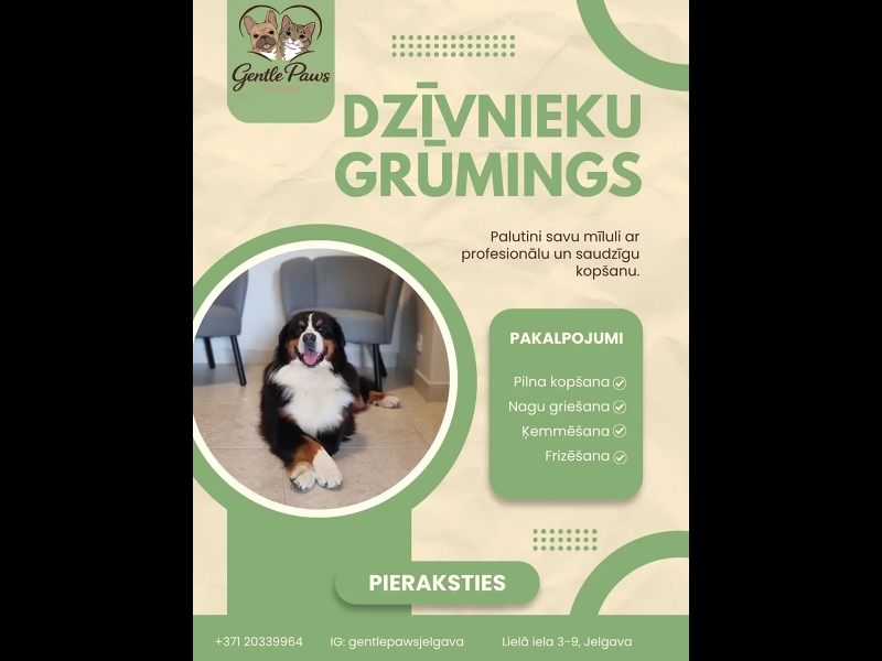 mājdzīvnieku grūmings
