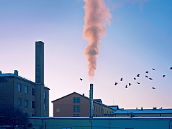 Fotogrāfs Jelgavā