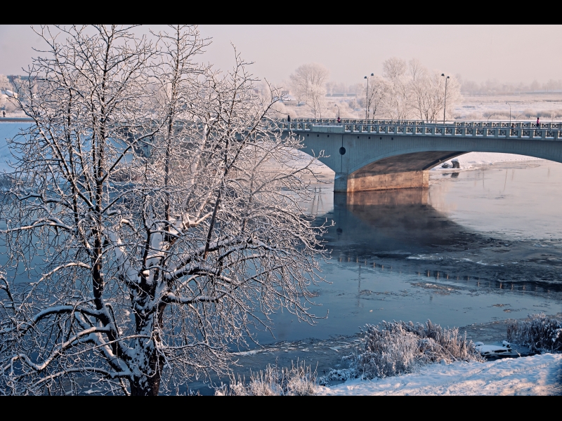 Fotogrāfs Jelgavā