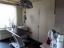 Veterinārā klīnika