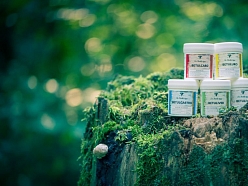 Uztura bagātinātāji