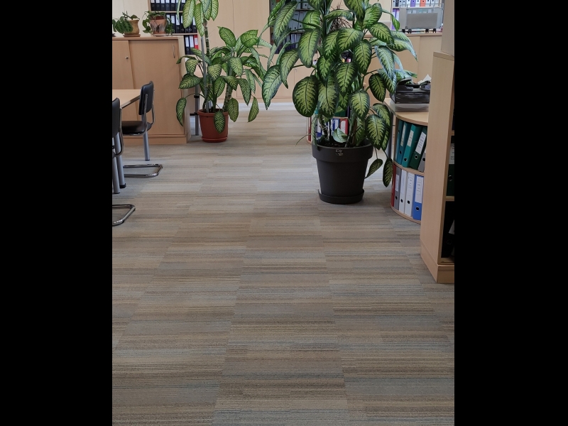 Mīksto grīdas segumu tīrīšana