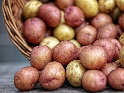 kartupeļu vairumtirdzniecība