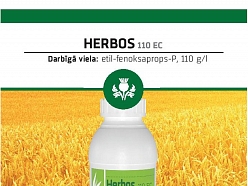 HERBOS 100 OD