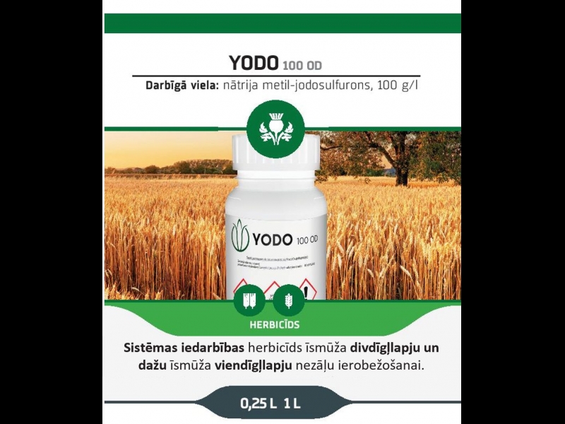 YODO 100 OD