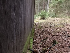 Grauzēju apkarošana