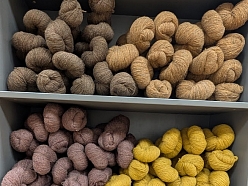 Dzijas ar dabīgām krāsvielām