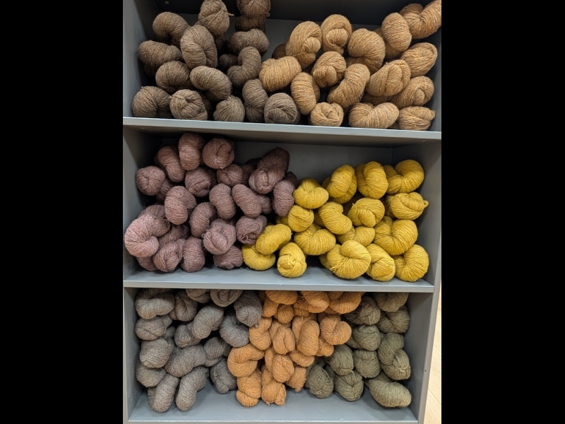 Dzijas ar dabīgām krāsvielām