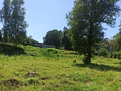 Mežu stādīšana