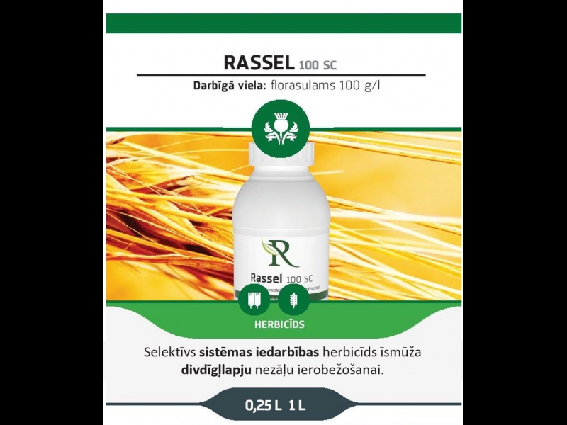 RASSEL 100 SC