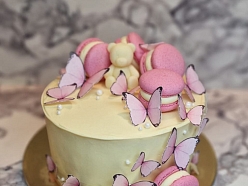 Tortes