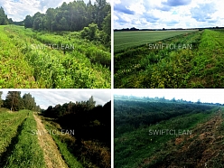 zāliena sēšana, pļaušana