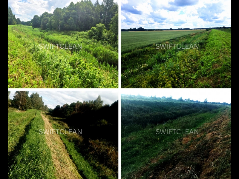 zāliena sēšana, pļaušana