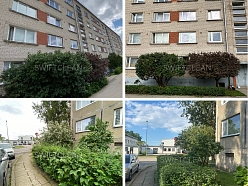 teritorijas kopšana