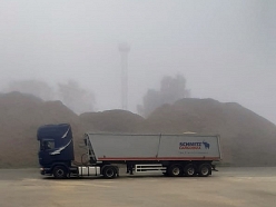 beramo kravu pārvadājumi