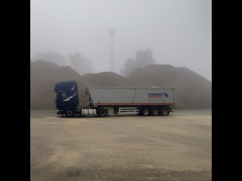 beramo kravu pārvadājumi