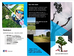 Bīstamo koku zāģēšana, koku kopšana, arborists