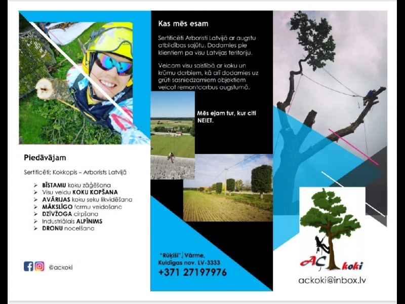 Bīstamo koku zāģēšana, koku kopšana, arborists