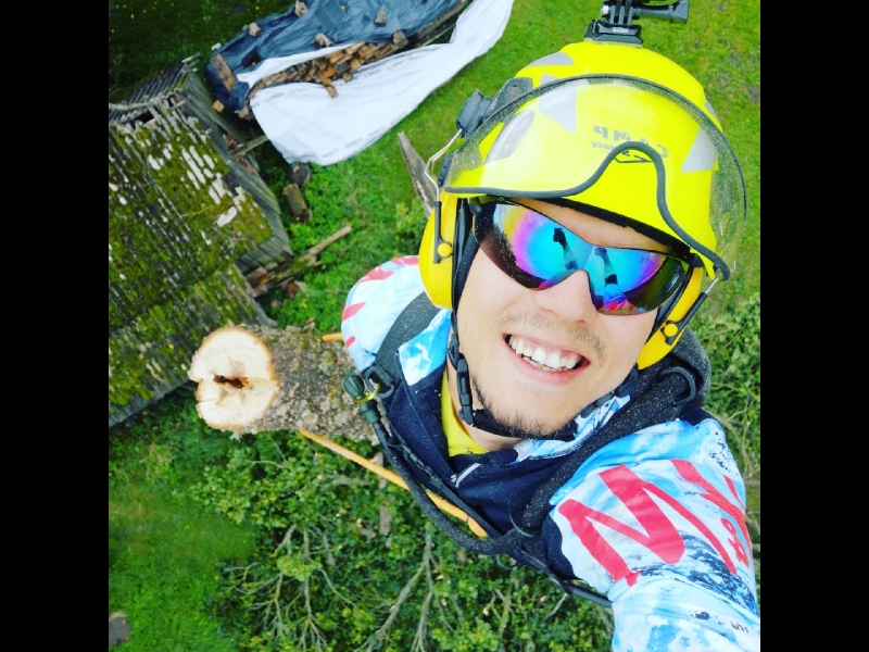 Bīstamo koku zāģēšana, koku kopšana, arborists