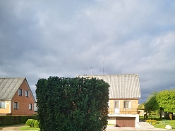 Bīstamo koku zāģēšana, koku kopšana, arborists