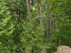 kapakmeņi Jūrmalā
