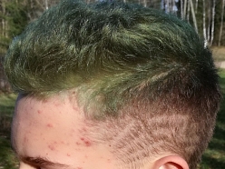 Frizētava