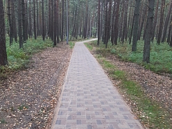 Kames SIA, Celtniecības un remonta darbi