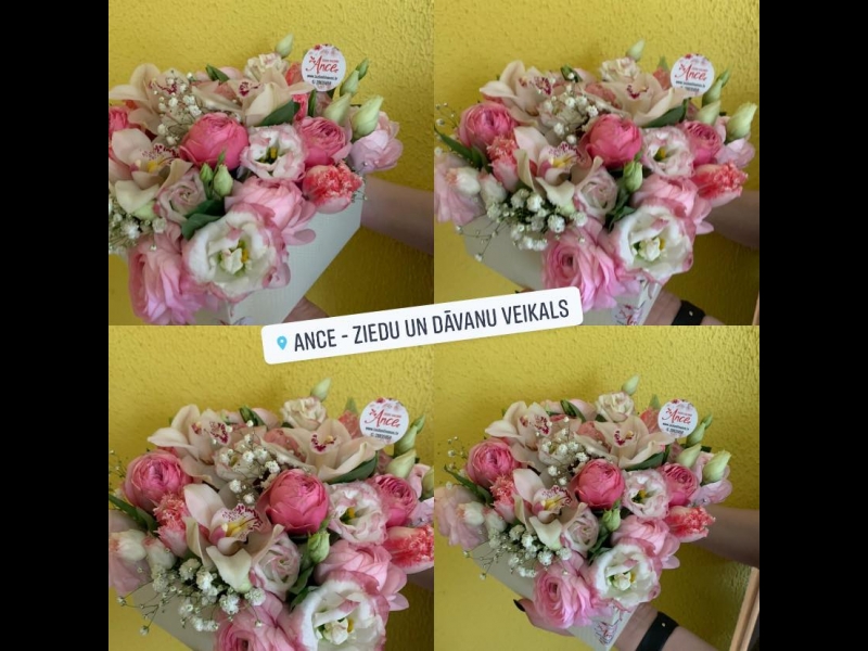 Ziedi Līvānos visos dzīves pasākumos