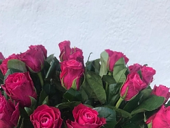 Ziedi Līvānos visos dzīves pasākumos