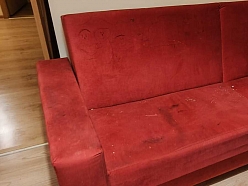 Notīram dzīvnieku spalvas un smakas