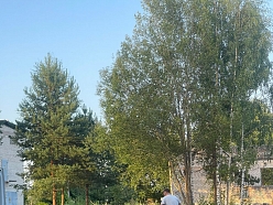 "Uldex" būvniecības darbi