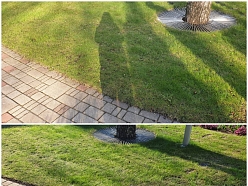 Maliņu atjaunošana