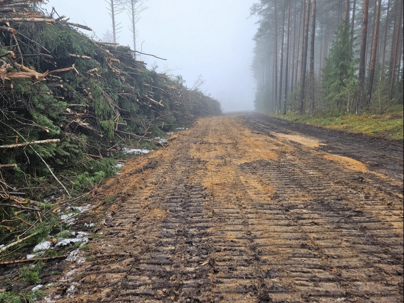 Kokmateriālu izvešana