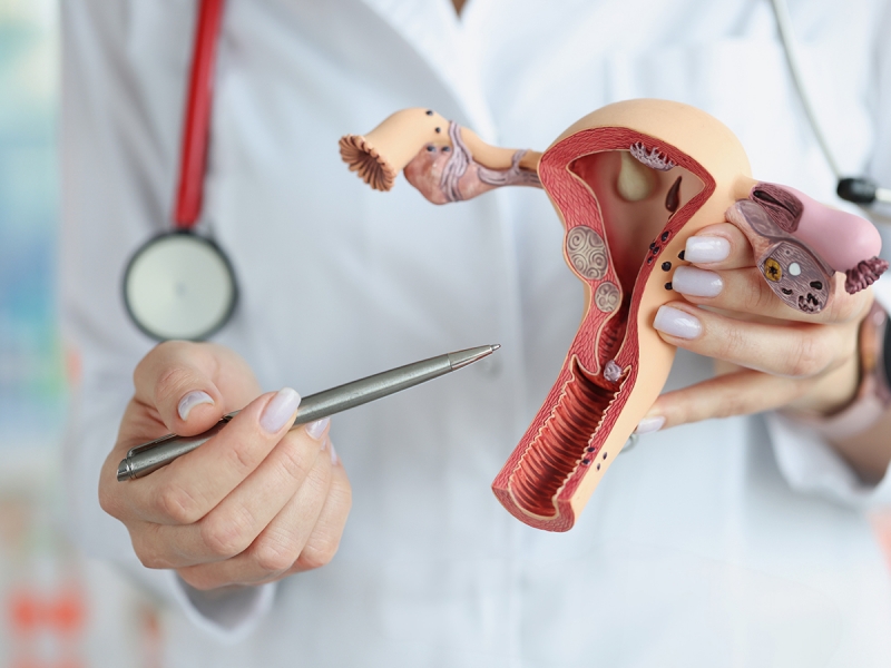 Uzskatāms un saprotams skaidrojums par sievietes reproduktīvo sistēmu, veselības izmaiņām un ārstēšanas iespējām, veicinot pacientes izpratni un līdzdalību ārstēšanas procesā.