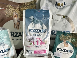 FORZA profesionāla dzīvnieku barība