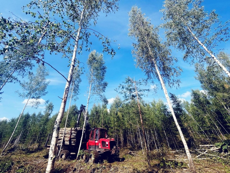 Forvardera pakalpojumi