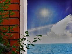 Protezēšana Jūrmalā INSLA