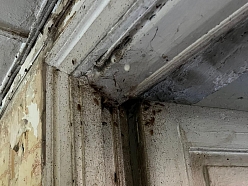 Kaitēkļu iznīcināšana