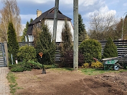 Zāliena atjaunošana, teritorijas sakopšana