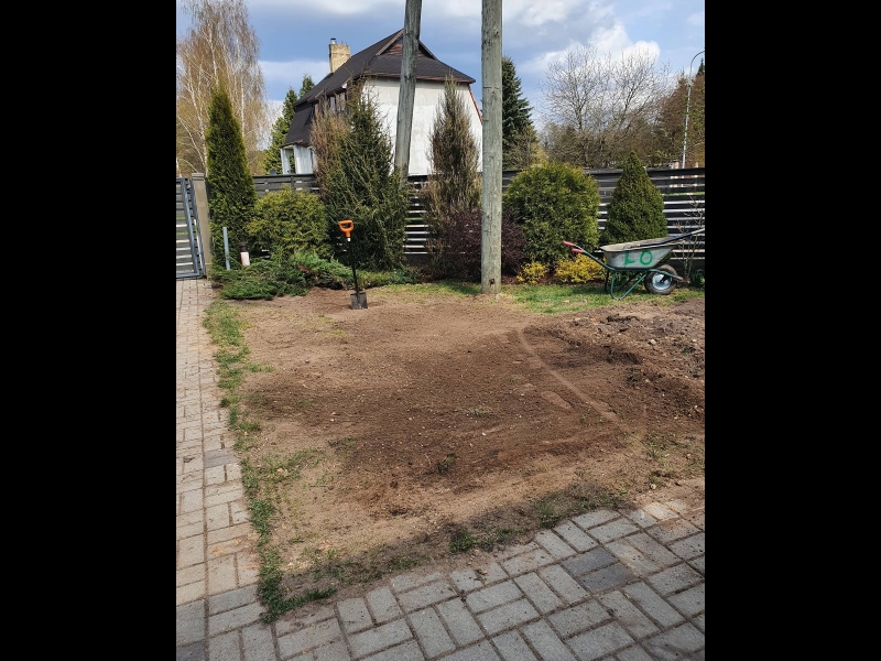 Zāliena atjaunošana, teritorijas sakopšana