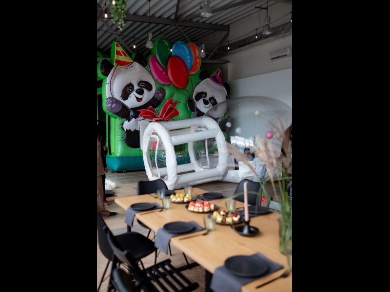 Telpu noma bērnu ballītei