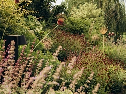 Profesionāļi veido un realizē dažāda apjoma ainavas projektus, stādot augus