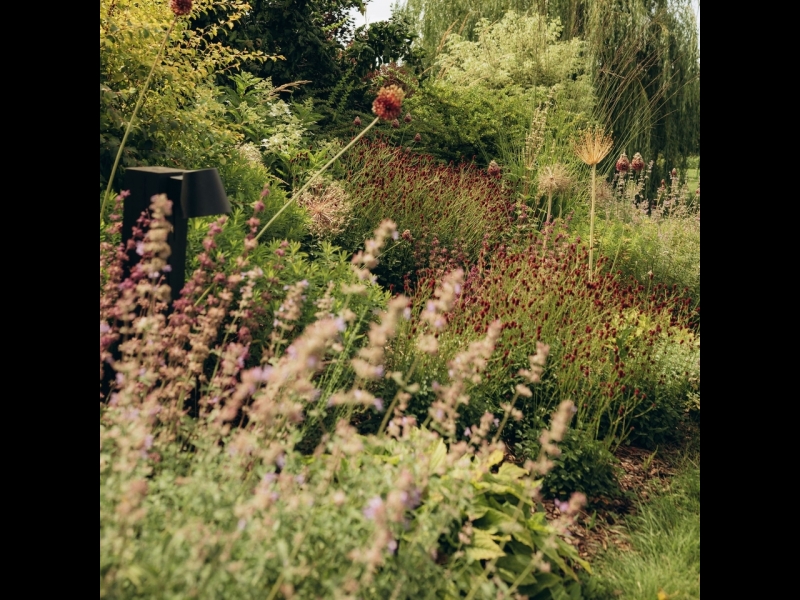 Profesionāļi veido un realizē dažāda apjoma ainavas projektus, stādot augus