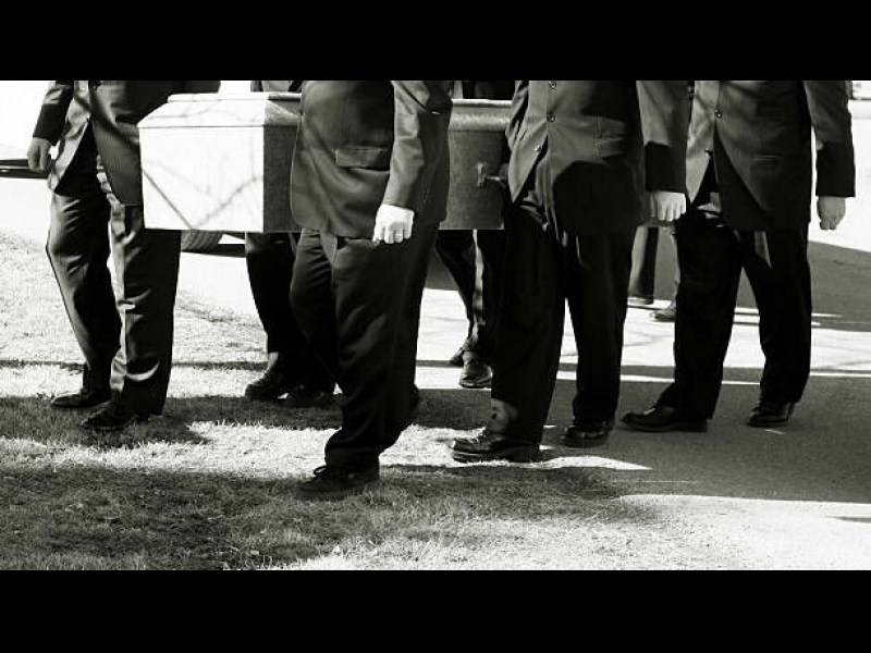 Bēru organizēšana