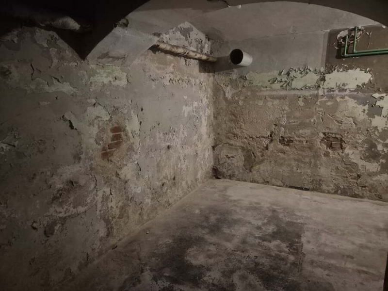 Damp Detectives pagrabu diagnostika