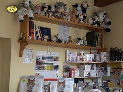 Viss Jūsu mīluļa labsajūtai – no kopšanas līdz veselībai.