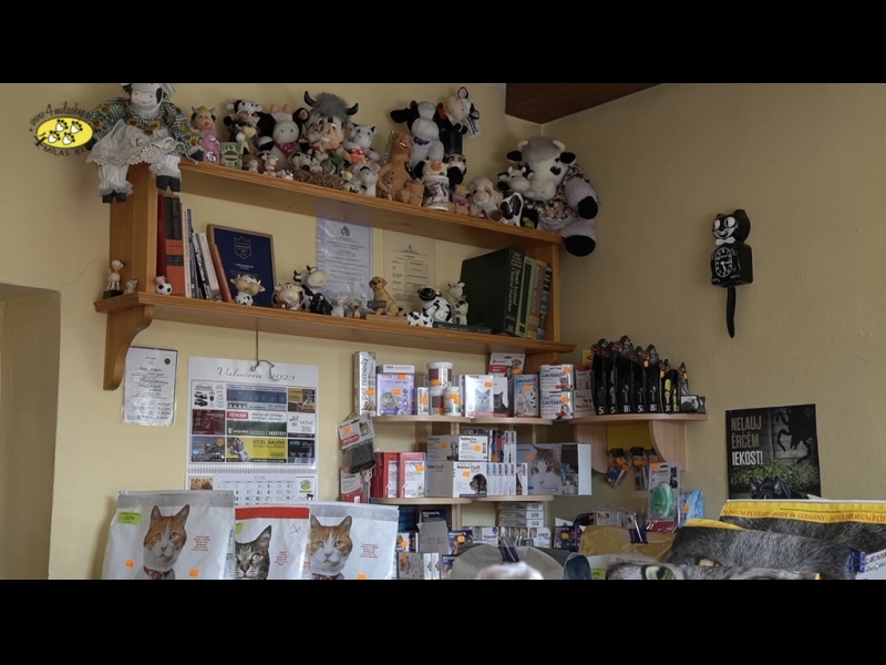 Viss Jūsu mīluļa labsajūtai – no kopšanas līdz veselībai.