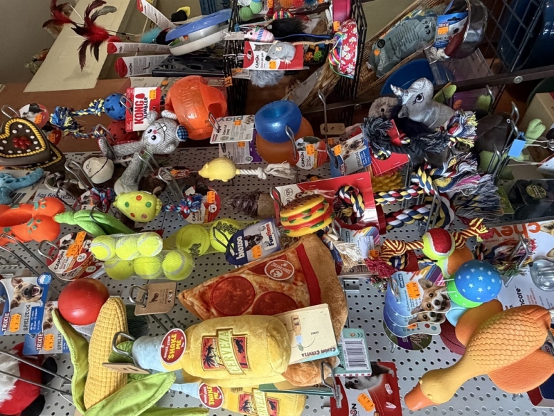 Rotaļlietas un aksesuāri aktīvam un laimīgam mīlulim.