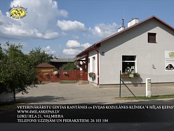 4 Mīlas Ķepas – vieta, kur rūpējas par dzīvnieku veselību un labsajūtu.